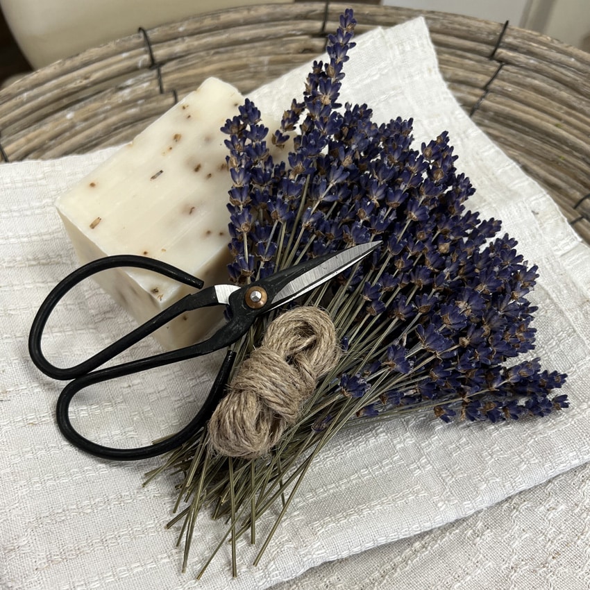 Image-Lavendel-IMG_6846-web